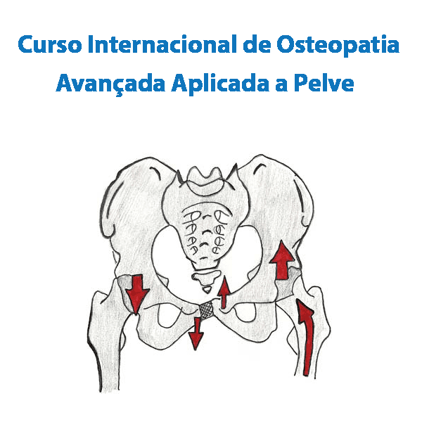 Curso de Osteopatia Clínica Avançada – Pelve