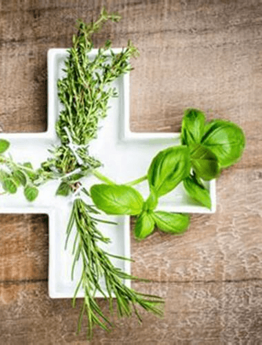 Pós-Graduação em Fitoterapia e Plantas Medicinais