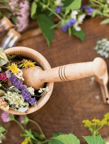 Pós-Graduação em Naturopatia